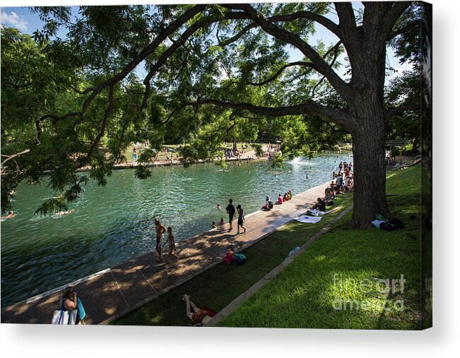 Barton Springs Pool Acrylic Print featuring the photograph Barton Springs Pool is a shady grove of live oak trees dating ba by Dan Herron