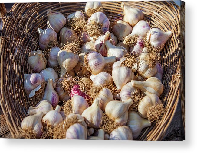 Garlic Acrylic Print featuring the photograph Basket of Garlic by Todd Klassy