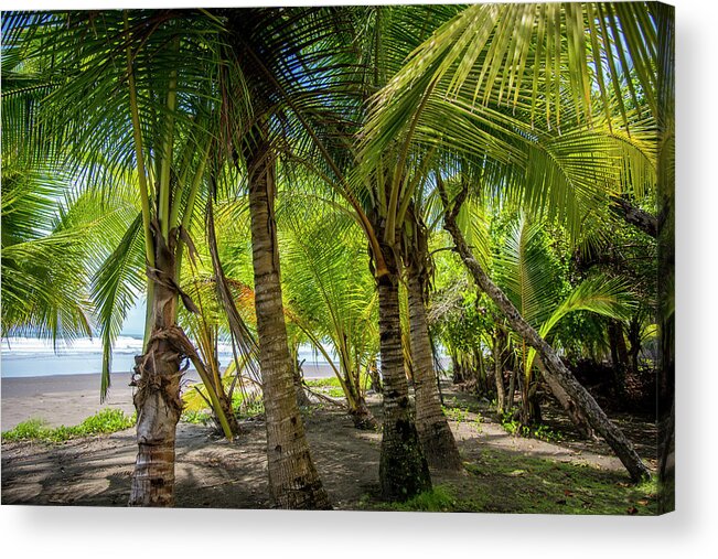 Spa Acrylic Print featuring the photograph Beach LIfe by David Morefield