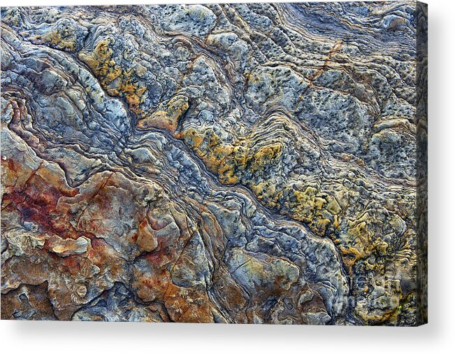 Rock Acrylic Print featuring the photograph Beach Rock Pattern by Tim Gainey