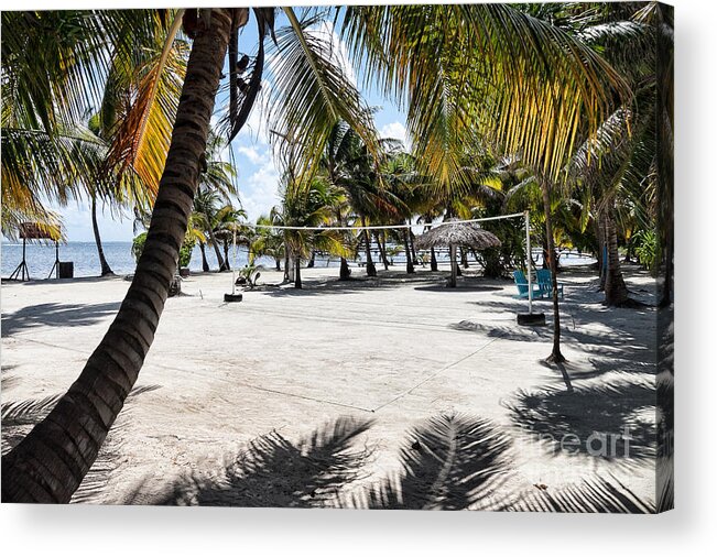 Ambergris Caye Acrylic Print featuring the photograph Beach Volleyball Court by Lawrence Burry