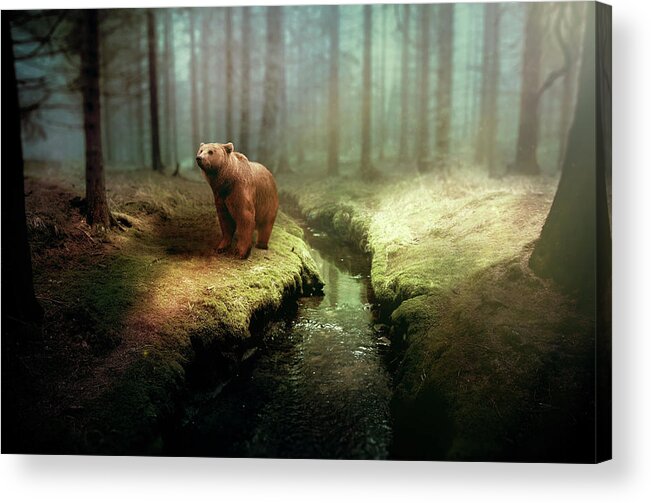 Bear Acrylic Print featuring the photograph Bear Mountain Fantasy by David Dehner