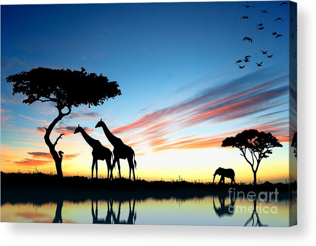 Beautiful Acrylic Print featuring the photograph Beautiful Animals In Safari by Boon Mee