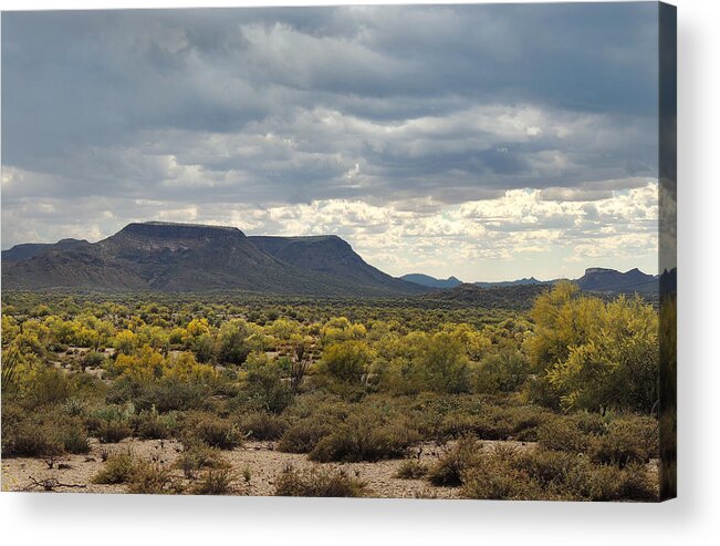 Southwestern Acrylic Print featuring the photograph Beautiful Arizona Vista by Gordon Beck