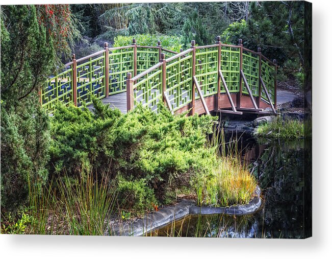 Florida Acrylic Print featuring the photograph Beautiful Green by Debra and Dave Vanderlaan