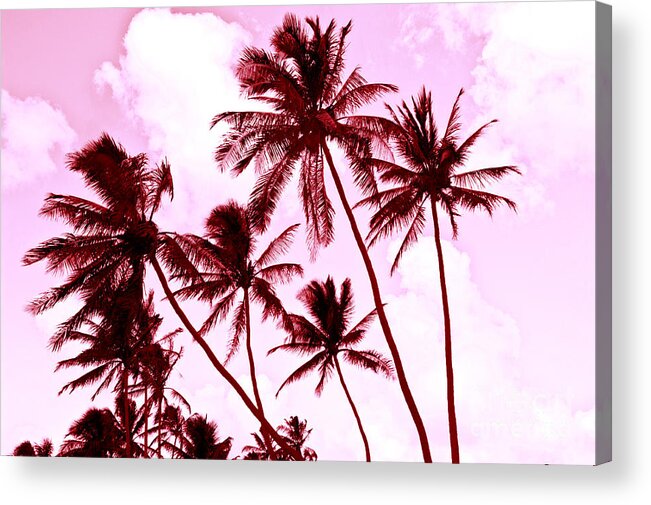 Hawaii Acrylic Print featuring the photograph Beautiful Palms of Maui 13 by Micah May