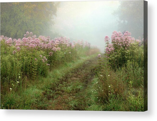 Flora Acrylic Print featuring the photograph Beauty at Kendall Hills by Ann Bridges