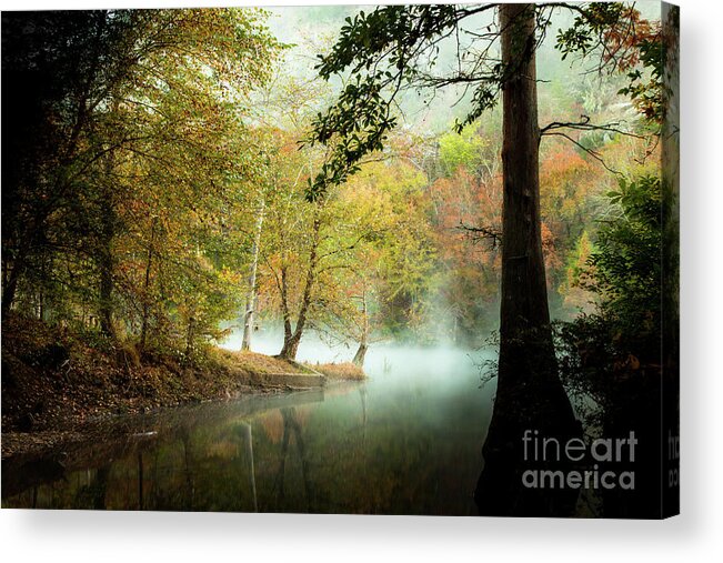 Creek Acrylic Print featuring the photograph Beavers Bend Creek in Fall by Iris Greenwell
