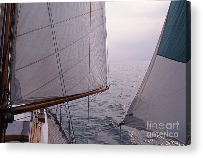 Sail Acrylic Print featuring the photograph Before the Wind by John Harmon