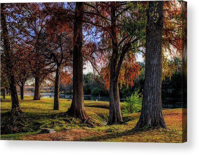 Autumn Acrylic Print featuring the photograph Beginning of Fall in Texas by G Lamar Yancy