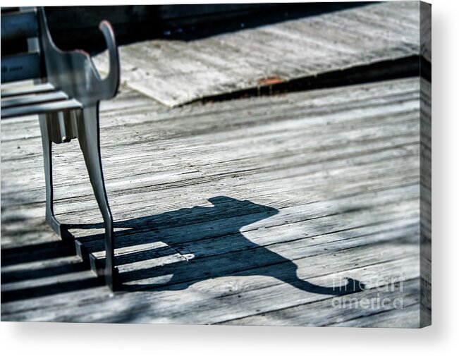 Bench Acrylic Print featuring the photograph Bench Shadow by Michael James