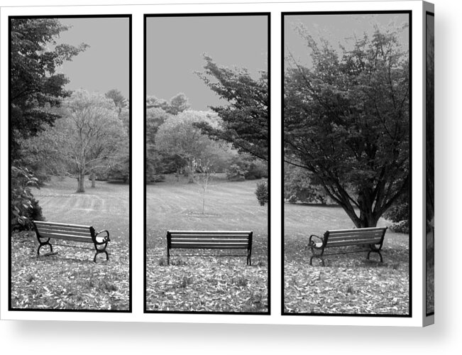 Nature Acrylic Print featuring the digital art Bench View Triptic by Tom Romeo