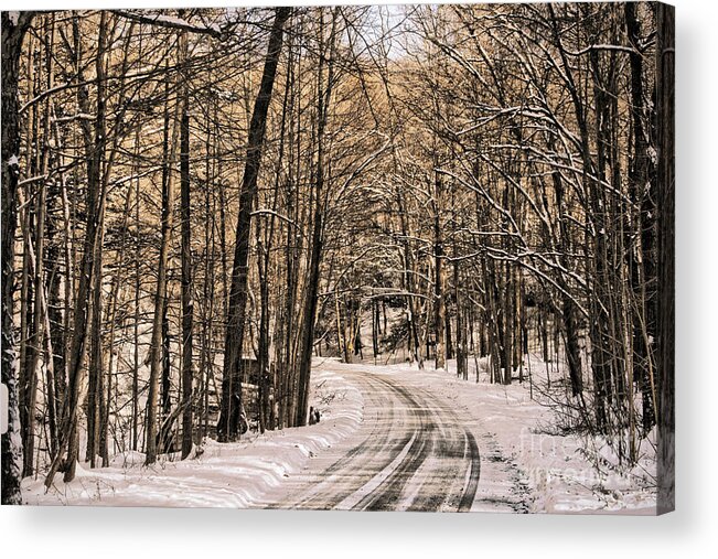 Winter Acrylic Print featuring the photograph Bend in the Road by Onedayoneimage Photography