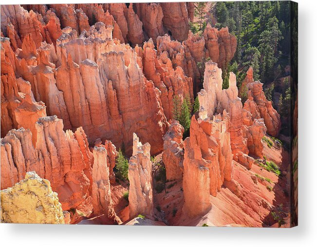 Bryce Canyon National Park Acrylic Print featuring the photograph Beneath Inspiration Point by Ray Mathis