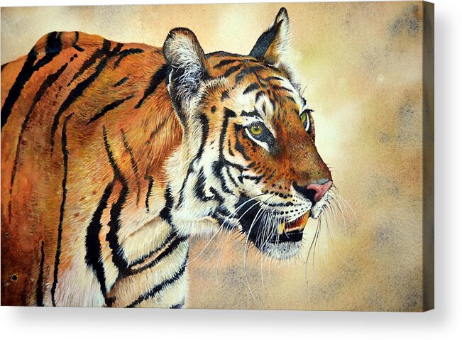 Bengal Tiger Acrylic Print featuring the painting Bengal Tiger by Paul Dene Marlor