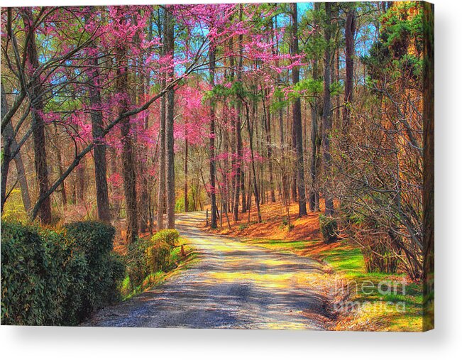 Spring Acrylic Print featuring the photograph Berry's Back Road by Geraldine DeBoer