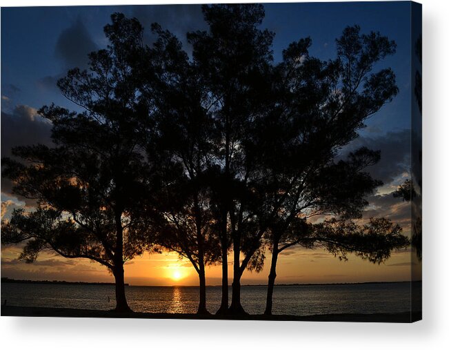 Sunset Acrylic Print featuring the photograph Between The Trees by Melanie Moraga