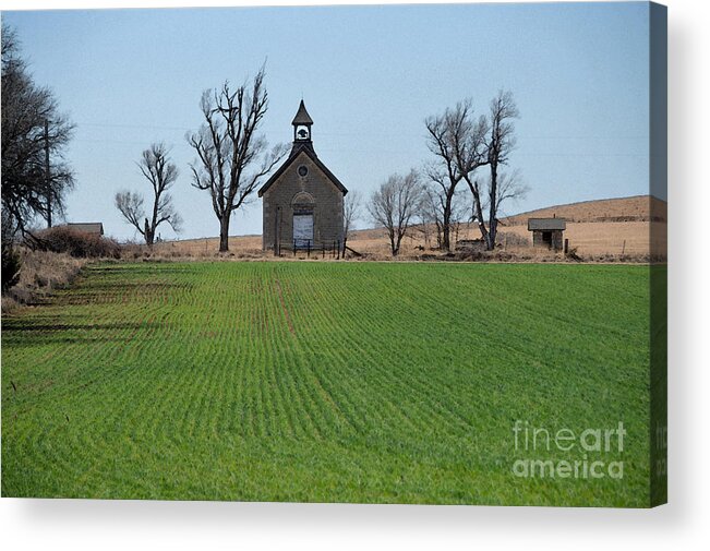 Bichet Acrylic Print featuring the photograph Bichet School With Winter Wheat by Catherine Sherman