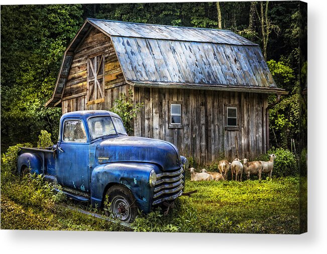 1940s Acrylic Print featuring the photograph Big Blue at the Farm by Debra and Dave Vanderlaan