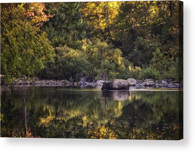 Fall Color Acrylic Print featuring the photograph Big Bull in Buffalo National River Fall Color by Michael Dougherty
