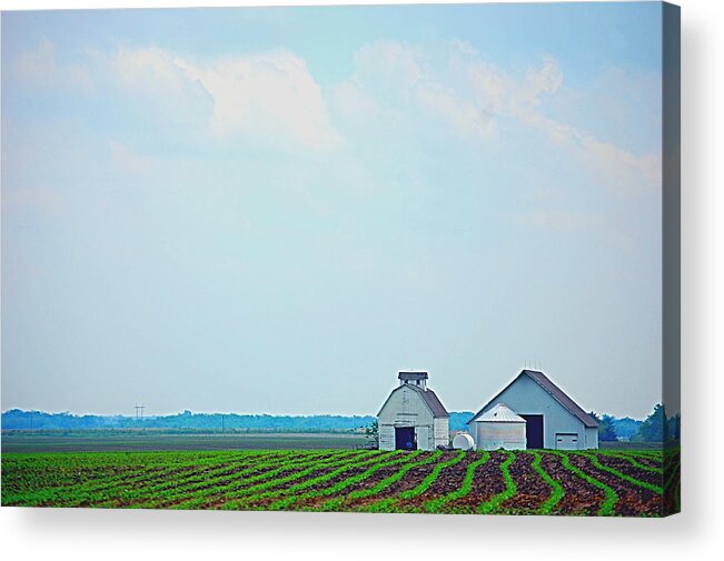 Iowa Acrylic Print featuring the photograph Big Sky in Spring by Jame Hayes