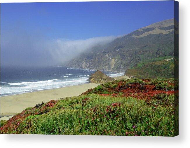 Big Sur Acrylic Print featuring the photograph Big Sur 3 by Renee Hardison
