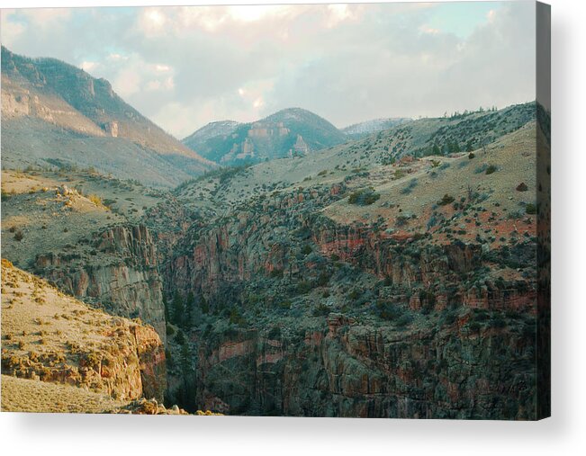 Bighorn Acrylic Print featuring the photograph Bighorn National Forest by Troy Stapek