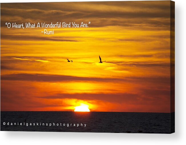 Birds At Sunset With Rumi Quote Acrylic Print By Daniel Gaskins