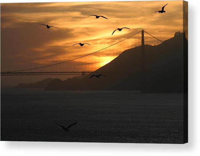 Golden Gate Bridge Acrylic Print featuring the photograph Birds by the Bay by Jeff Floyd CA