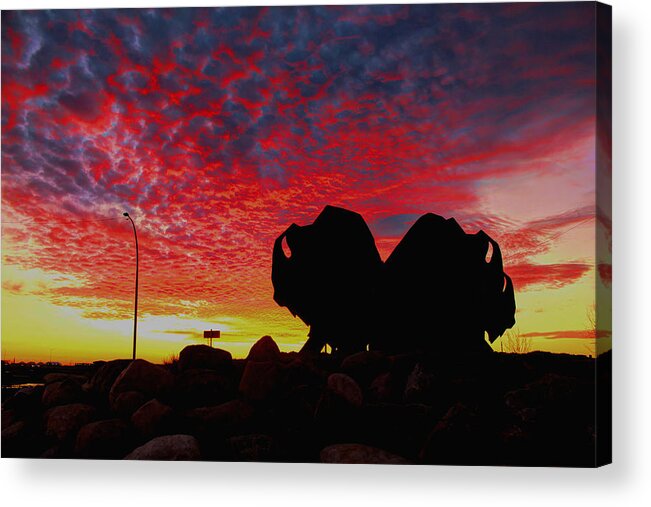 Sunset Acrylic Print featuring the photograph Bison Sunset by Larry Trupp