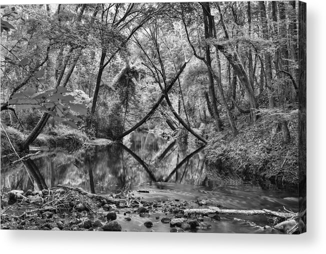 Black And White Acrylic Print featuring the photograph Black and White 40 by Jimmy McDonald