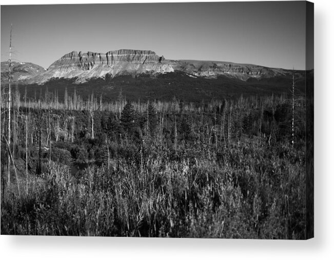 Black And White Acrylic Print featuring the photograph Black and white Glacial sculpted by Jeff Swan