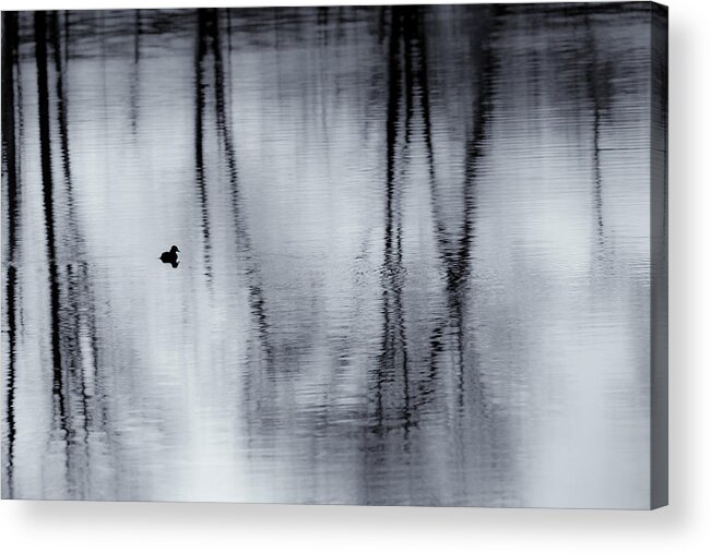 Reflection Acrylic Print featuring the photograph Black and White Reflections by Bill Wakeley