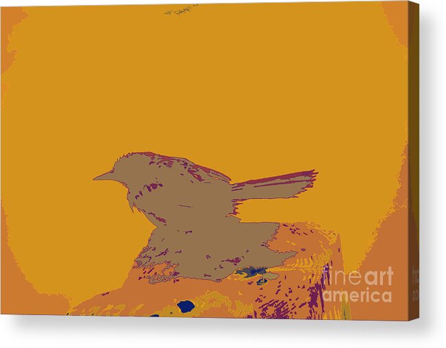 Blackbird Sits On Post Acrylic Print featuring the digital art Blackbird 2 by Chris Taggart