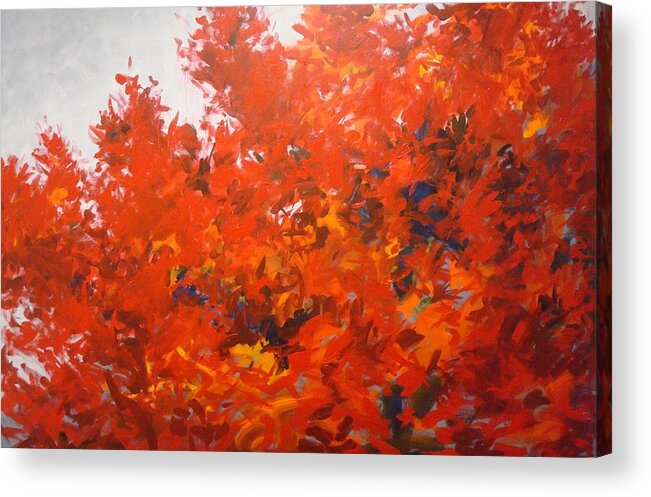 Leaves Acrylic Print featuring the painting Blaze Maple by Rich Houck