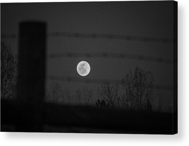 Blood Moon Acrylic Print featuring the photograph Blood Moon by Stephen Holst