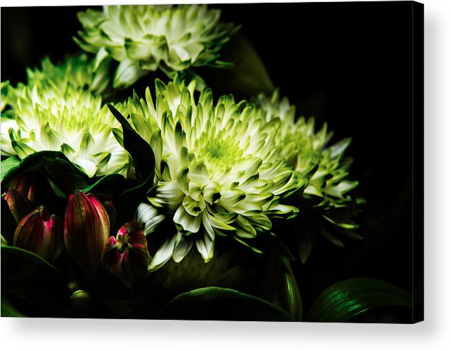 Blooming Acrylic Print featuring the photograph Blooming White Dahlia by Dennis Dame