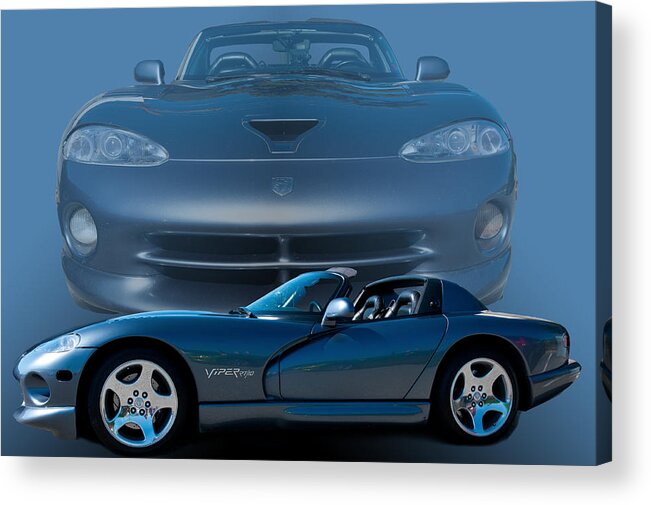 Viper Acrylic Print featuring the photograph Blue Grey Viper by Jim Hatch