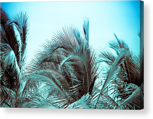 Palm Trees Acrylic Print featuring the photograph Blue Hawaii by Colleen Kammerer