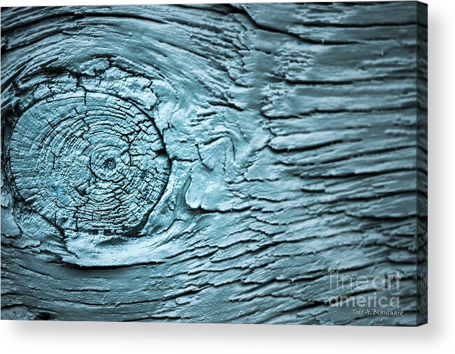 Abstract Acrylic Print featuring the photograph Blue Knot by Todd Blanchard