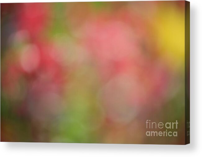 Abstract Acrylic Print featuring the photograph Blurry Blossoms by Linda Bianic