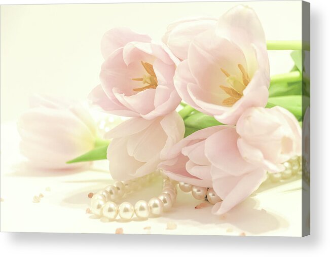 Pink Acrylic Print featuring the photograph Blush by Holly Ross