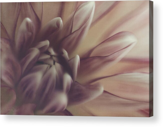 Dahlia Acrylic Print featuring the photograph Bohemian Rhapsody by Teresa Wilson