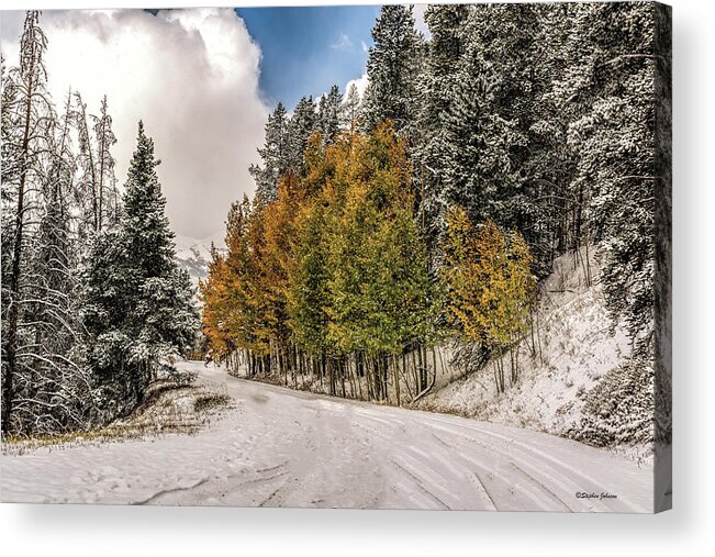 Boreas Pass Road Acrylic Print featuring the photograph Boreas Pass Road Aspen and Snow by Stephen Johnson