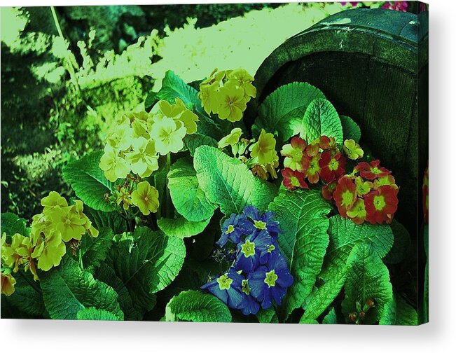 Flowers Acrylic Print featuring the photograph Bouquet by HweeYen Ong
