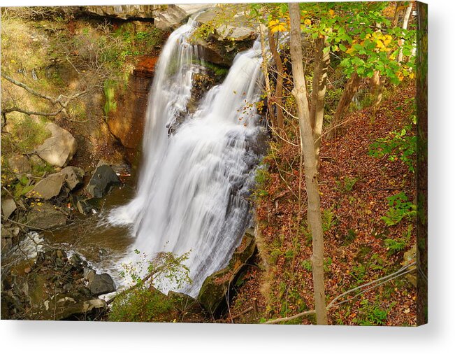 Autumn Acrylic Print featuring the photograph Brandywine Falls by Beth Collins