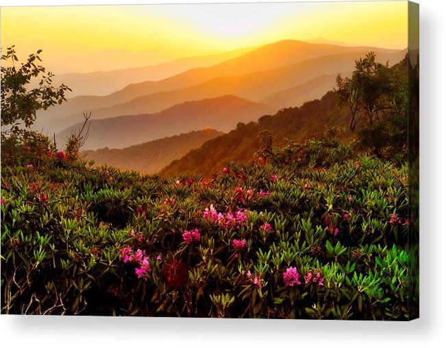 Roan Mountain Acrylic Print featuring the photograph Breaking of Dawn by Dana Foreman