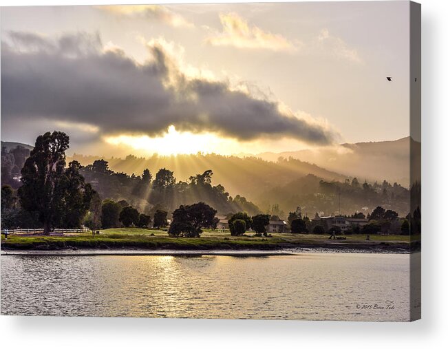 Afternoon Acrylic Print featuring the photograph Breakthrough by Brian Tada