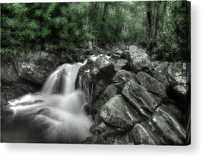 Tennessee Stream Acrylic Print featuring the photograph Breathe by Mike Eingle