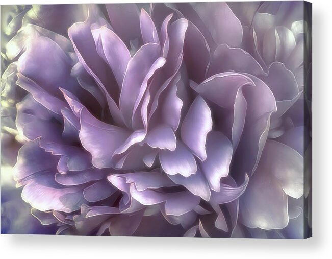 Floral Acrylic Print featuring the photograph Breeze in Cool Lilac by Darlene Kwiatkowski